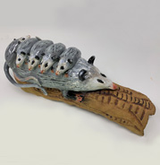 Opossum Family