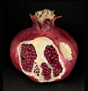 large pomegranate with opened fruit