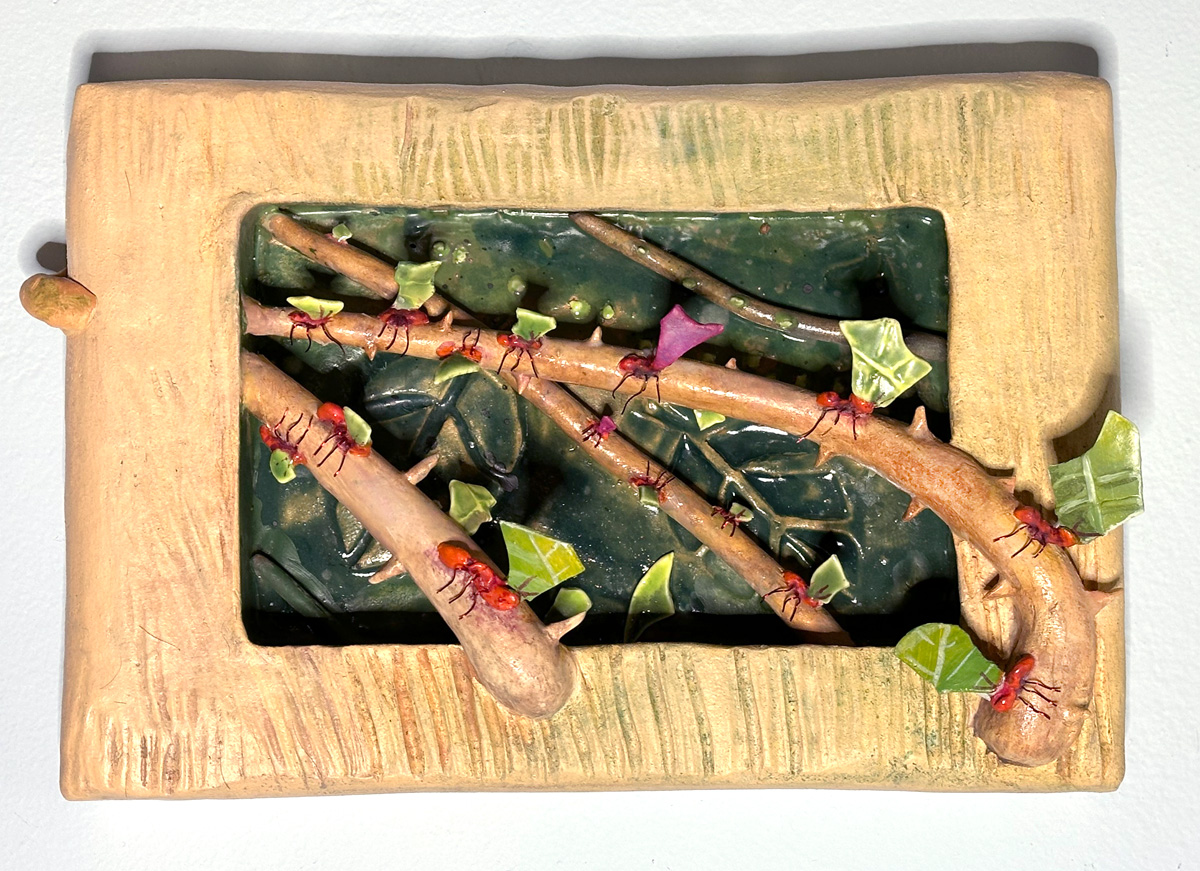 Bye Bye Bougainvillea