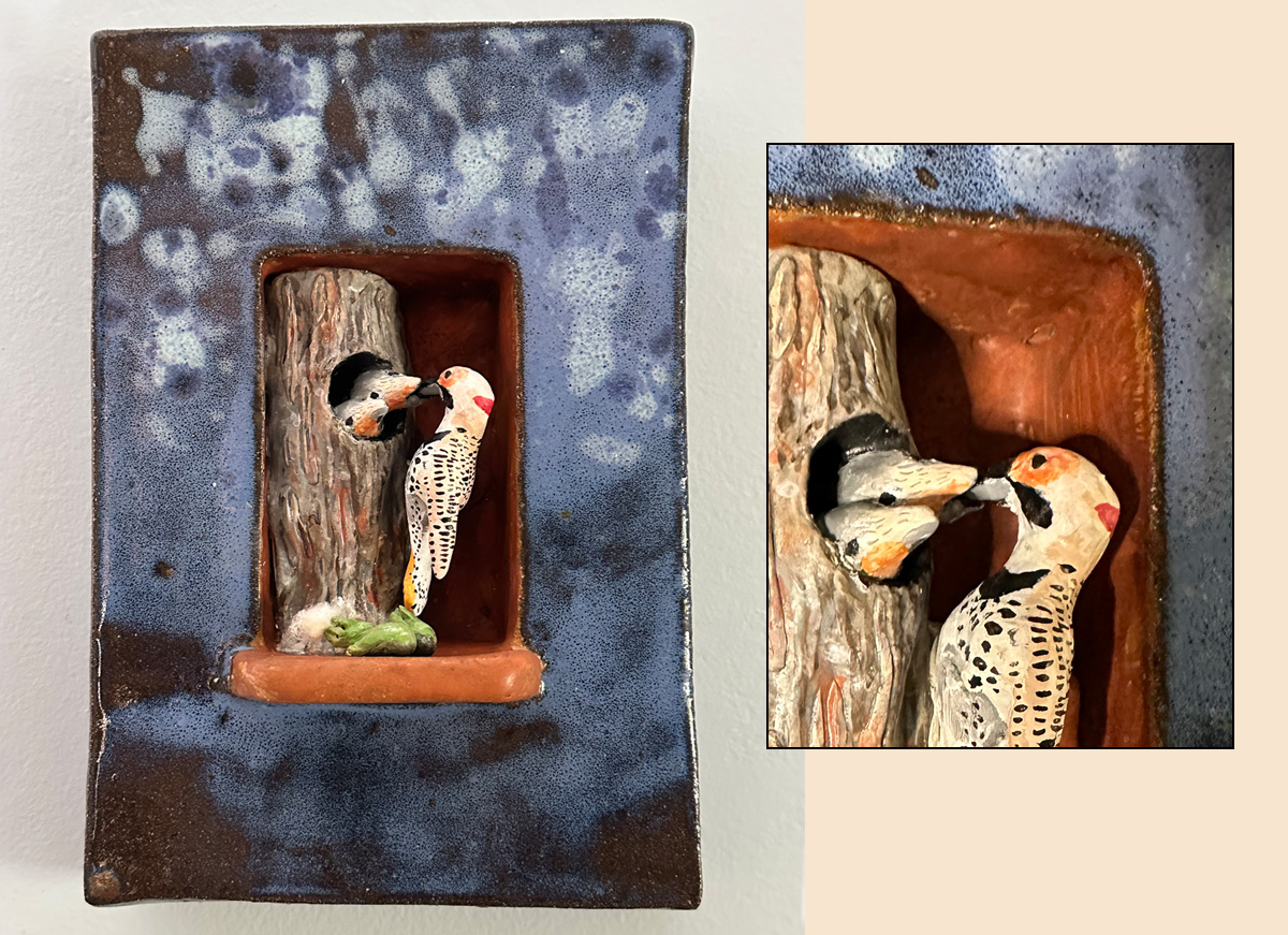 Northern Flicker with Cottonwood Tree